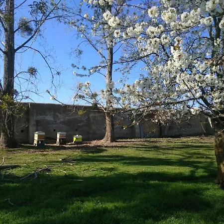 Chateau De Bicon Artonne