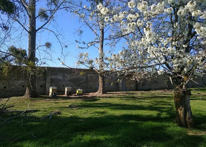 Chateau De Bicon Artonne